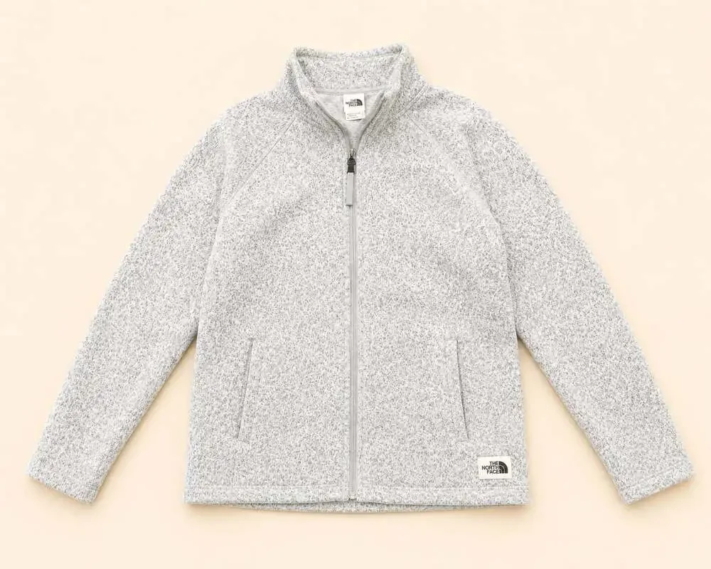 The North Face Full Zip Fleece Jacket Women’s L Gray Heather Cozy Gorpcore - Picture 1 of 9